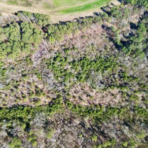 Photo #23 of SOLD property in Off Sherman Road, Maxton, NC 41.4 acres