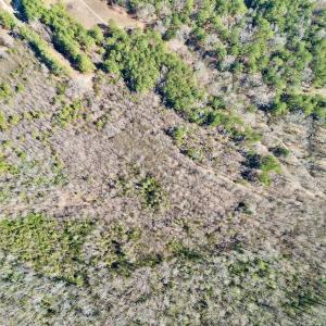 Photo #24 of SOLD property in Off Sherman Road, Maxton, NC 41.4 acres