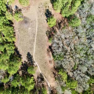 Photo #26 of SOLD property in Off Sherman Road, Maxton, NC 41.4 acres