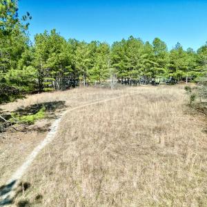 Photo #28 of SOLD property in Off Sherman Road, Maxton, NC 41.4 acres