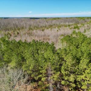 Photo #29 of SOLD property in Off Sherman Road, Maxton, NC 41.4 acres