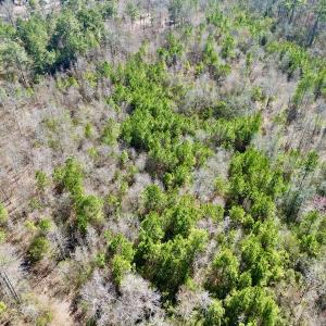Photo #30 of SOLD property in Off Sherman Road, Maxton, NC 41.4 acres