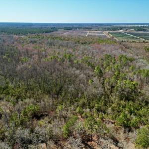 Photo #4 of SOLD property in Off Sherman Road, Maxton, NC 41.4 acres