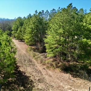 Photo #33 of SOLD property in Off Sherman Road, Maxton, NC 41.4 acres
