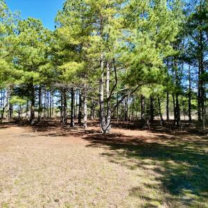 Photo #34 of SOLD property in Off Sherman Road, Maxton, NC 41.4 acres