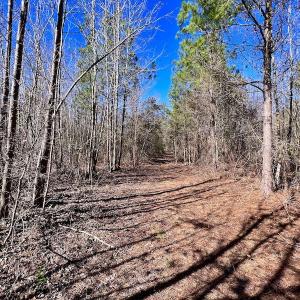 Photo #35 of SOLD property in Off Sherman Road, Maxton, NC 41.4 acres