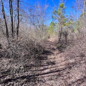Photo #36 of SOLD property in Off Sherman Road, Maxton, NC 41.4 acres