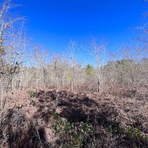 Photo #39 of SOLD property in Off Sherman Road, Maxton, NC 41.4 acres