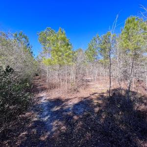 Photo #40 of SOLD property in Off Sherman Road, Maxton, NC 41.4 acres
