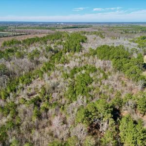 Photo #5 of SOLD property in Off Sherman Road, Maxton, NC 41.4 acres
