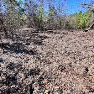 Photo #42 of SOLD property in Off Sherman Road, Maxton, NC 41.4 acres