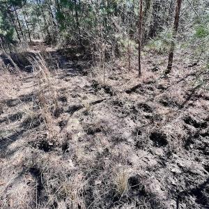 Photo #43 of SOLD property in Off Sherman Road, Maxton, NC 41.4 acres