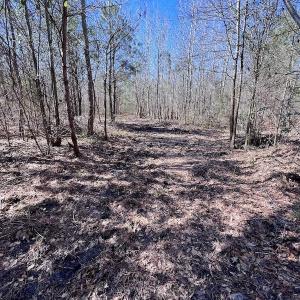 Photo #44 of SOLD property in Off Sherman Road, Maxton, NC 41.4 acres