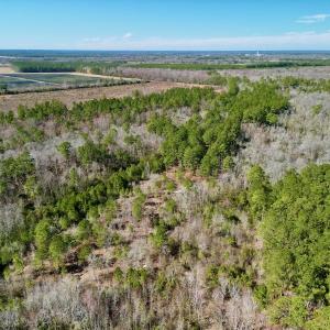 Photo #6 of SOLD property in Off Sherman Road, Maxton, NC 41.4 acres