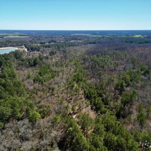 Photo #7 of SOLD property in Off Sherman Road, Maxton, NC 41.4 acres