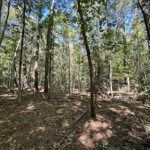 Photo #10 of Off Sims Bridge Road , Kittrell, NC 36.2 acres