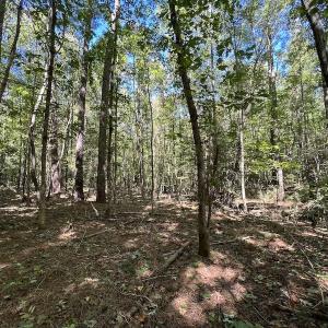 Photo #10 of SOLD property in Off Sims Bridge Road , Kittrell, NC 36.2 acres