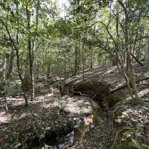 Photo #13 of SOLD property in Off Sims Bridge Road , Kittrell, NC 36.2 acres