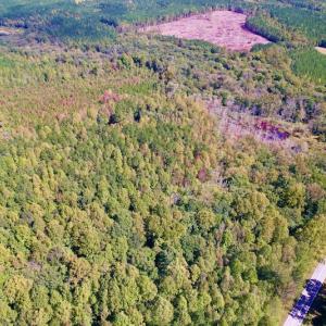Photo #15 of SOLD property in Off Sims Bridge Road , Kittrell, NC 36.2 acres
