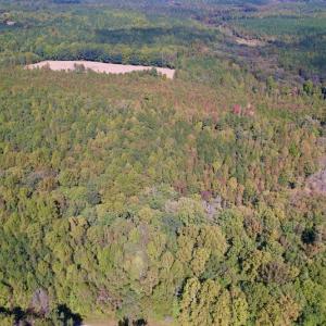 Photo #16 of Off Sims Bridge Road , Kittrell, NC 36.2 acres