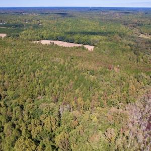 Photo #17 of Off Sims Bridge Road , Kittrell, NC 36.2 acres