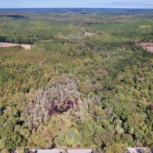 Photo #18 of SOLD property in Off Sims Bridge Road , Kittrell, NC 36.2 acres