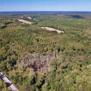 Photo #19 of Off Sims Bridge Road , Kittrell, NC 36.2 acres