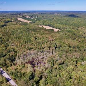 Photo #19 of SOLD property in Off Sims Bridge Road , Kittrell, NC 36.2 acres