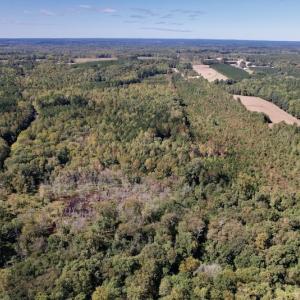 Photo #20 of SOLD property in Off Sims Bridge Road , Kittrell, NC 36.2 acres