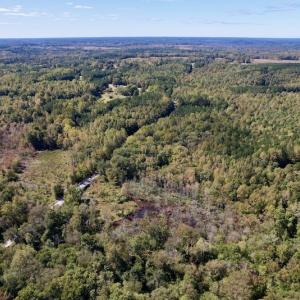 Photo #21 of SOLD property in Off Sims Bridge Road , Kittrell, NC 36.2 acres