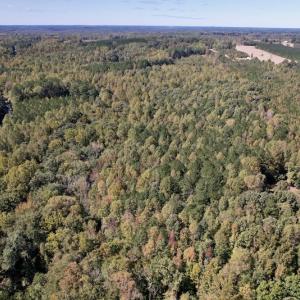 Photo #23 of SOLD property in Off Sims Bridge Road , Kittrell, NC 36.2 acres