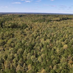 Photo #24 of Off Sims Bridge Road , Kittrell, NC 36.2 acres
