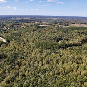 Photo #25 of Off Sims Bridge Road , Kittrell, NC 36.2 acres