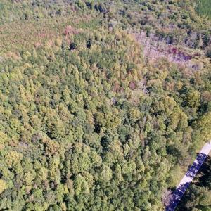 Photo #26 of SOLD property in Off Sims Bridge Road , Kittrell, NC 36.2 acres