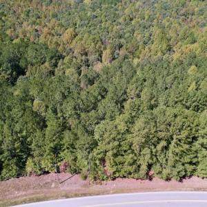 Photo #27 of SOLD property in Off Sims Bridge Road , Kittrell, NC 36.2 acres