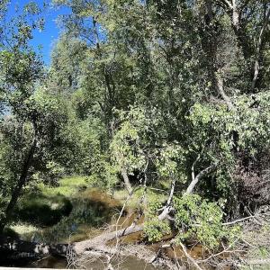 Photo #5 of Off Sims Bridge Road , Kittrell, NC 36.2 acres