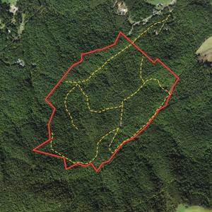 Photo #52 of Off Adventure Mountain Trail , Montvale, VA 216.9 acres