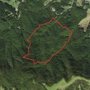 Photo #1 of Off Adventure Mountain Trail , Montvale, VA 216.9 acres