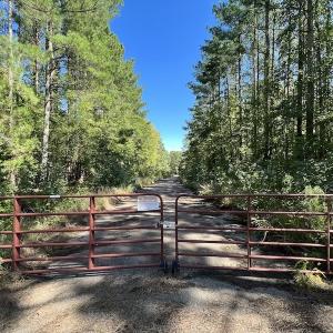 Photo #11 of Off Lunbar Court , Kittrell, NC 32.5 acres