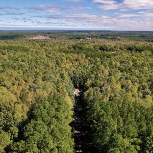 Photo #12 of Off Lunbar Court , Kittrell, NC 32.5 acres