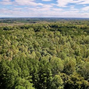 Photo #13 of Off Lunbar Court , Kittrell, NC 32.5 acres