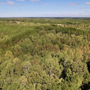 Photo #14 of Off Lunbar Court , Kittrell, NC 32.5 acres