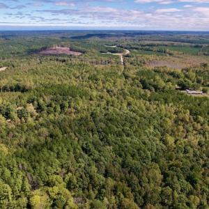 Photo #16 of Off Lunbar Court , Kittrell, NC 32.5 acres