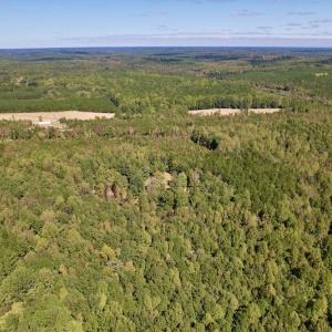 Photo #18 of Off Lunbar Court , Kittrell, NC 32.5 acres