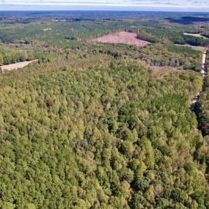 Photo #19 of Off Lunbar Court , Kittrell, NC 32.5 acres