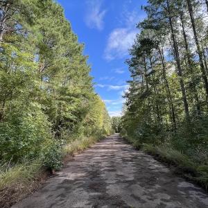 Photo #1 of Off Lunbar Court , Kittrell, NC 32.5 acres