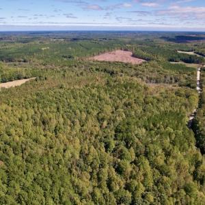 Photo #20 of Off Lunbar Court , Kittrell, NC 32.5 acres