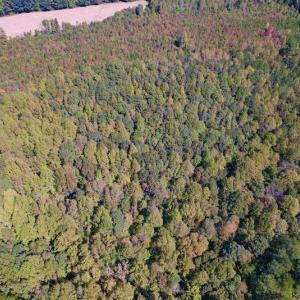 Photo #21 of Off Lunbar Court , Kittrell, NC 32.5 acres