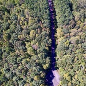 Photo #22 of Off Lunbar Court , Kittrell, NC 32.5 acres