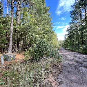 Photo #3 of SOLD property in Off Lunbar Court , Kittrell, NC 32.5 acres